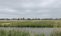 Nieuw Boekhorst