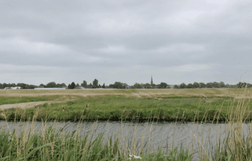 Nieuw Boekhorst