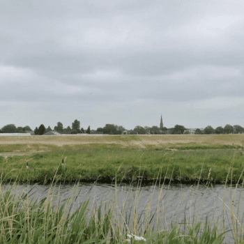 Nieuw Boekhorst