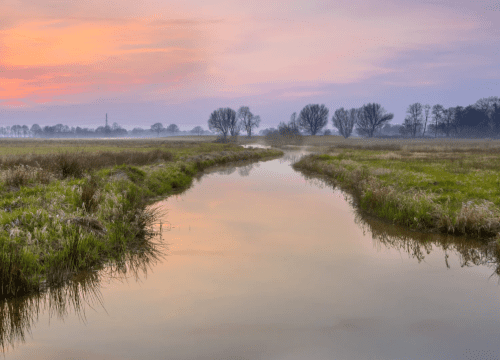 holten