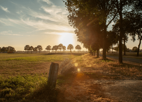natuur-overijssel
